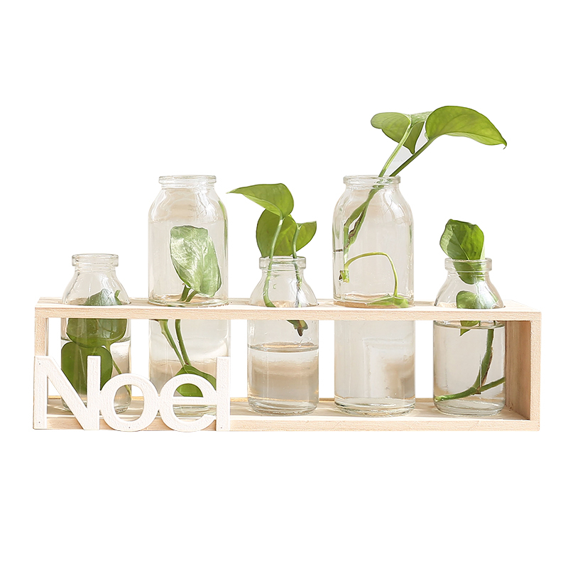 ���ӼҾ�͸������С��ƿ TLP010001