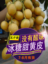 孕妇新鲜水果 包邮 郁南冰糖甜黄皮果没有酸味消食化痰广东省内顺丰
