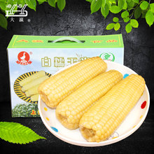 鲜嫩大玉米柏糇 粘鲜 玉米粒 大瀛白糯玉米2kg 南方玉米微微清甜