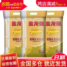 包邮金龙鱼 东北米 寒地东北大米 5kg/10斤大米非转基因食品