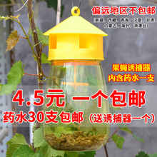 包邮 果蝇引诱剂内含捕抓器诱剂 果蝇诱捕器果园菜地瓜果实蝇针蜂