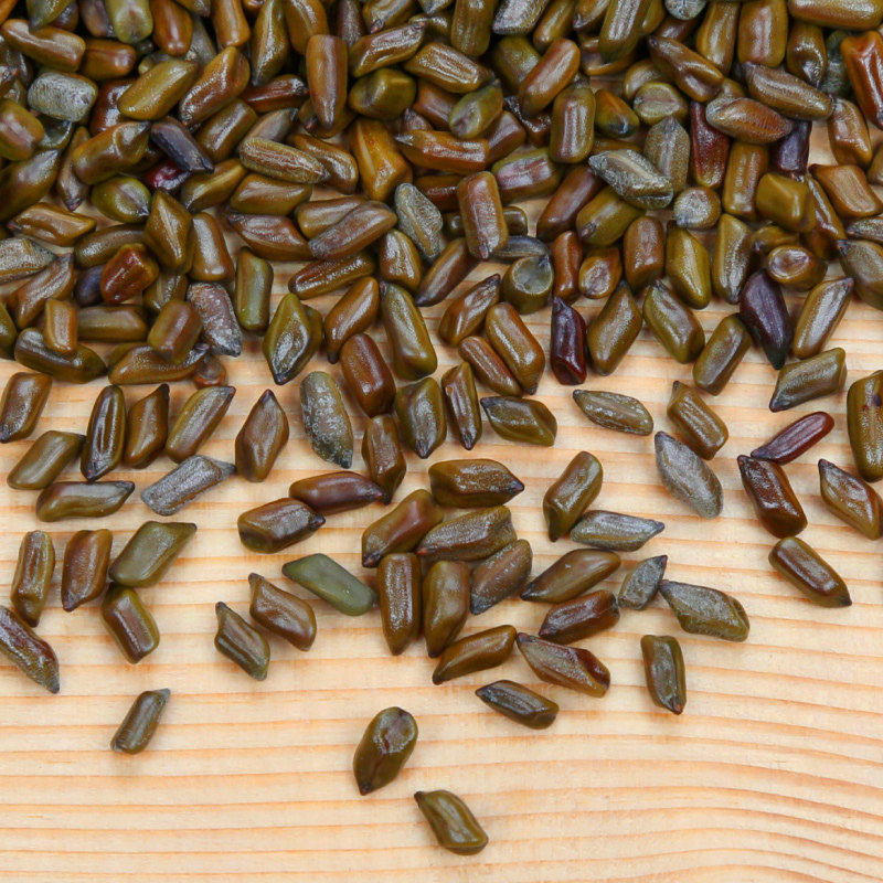 ˫����������ͷJ01