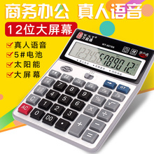 包邮 送电池会计计算器语音大按键多功能财务办公专用计算机大号