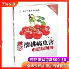 樱桃树种植书籍 范昆 机械工业 樱桃种植技术教程教材大全书籍 图说樱桃病虫害诊断与防治 樱桃种植技术从入门到精通 全彩版 包邮