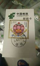 日戳 蟠桃 土狼邮票 邮戳卡 山东平度