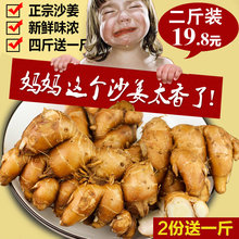 山奈 2斤 包邮 白切鸡调味配料可种子苗 正宗广东茂名特产新鲜沙姜