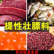 包邮 贵州画眉鸟食饲料手工提性唱鸟料凯里营养壮膘斗鸟打彩换毛料