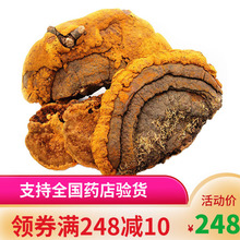 野生桑黄桑黄灵芝金边桑黄西藏桑黄250g提供切片整枝野生同仁堂