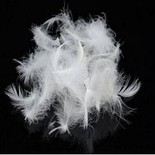 水洗白鹅羽绒2 4毛片沙发靠垫抱枕芯腰垫填充物原料 散装