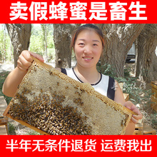 野生土蜂蜜1000克新疆阿克苏甘草花黑蜂蜜液态纯正天然农家自产