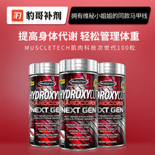 肌肉科技健身左旋肉碱精英白金脂肪杀手二代次世代100粒 豹哥补剂