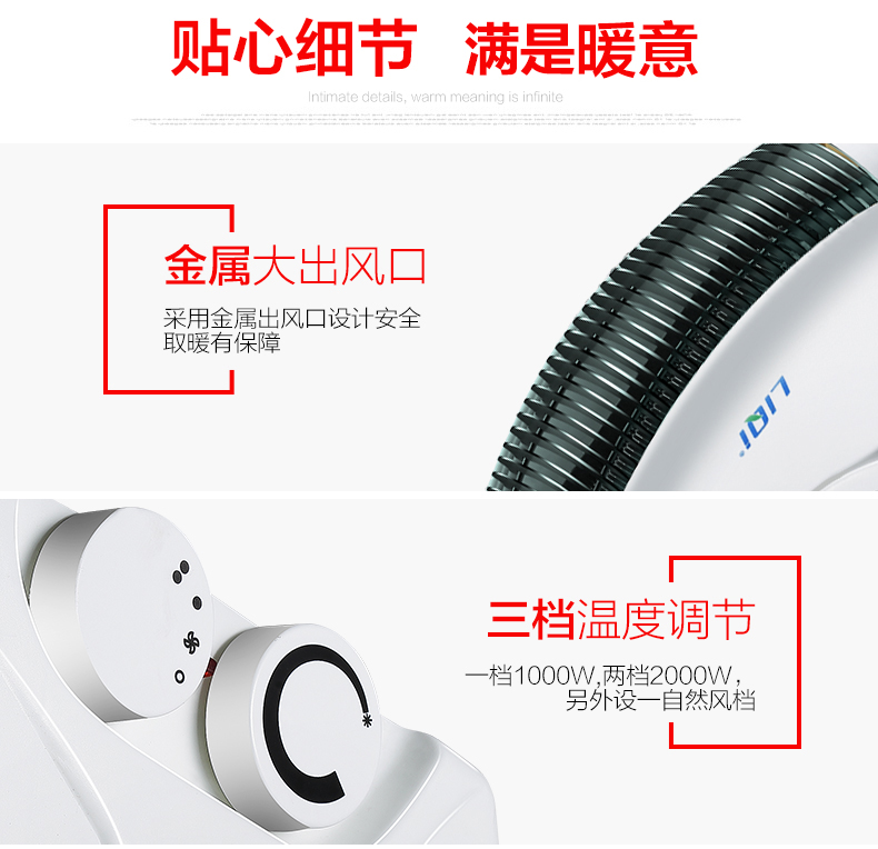 ��������ȡů��FH-06A