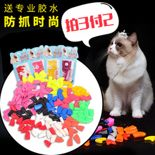 狗狗指甲套猫指甲套贵宾泰迪宠物防抓套防挠伤猫咪爪套20粒送胶水
