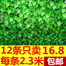 饰树叶藤蔓仿真绿叶花藤条串壁挂红枫叶子 幼儿园教室天花板布置装
