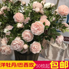 3头洋牡丹仿真巴西玫欧式包芯牡丹花枝婚礼布置装 饰插花婚庆绢花