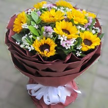 向日葵鲜花束礼盒生日闺蜜阜阳市颍州颖东颍泉区花店同城鲜花速递