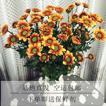包邮 花束插花家用装 一扎空运 云南基地昆明直发小雏菊鲜花 饰花
