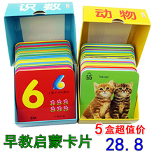 婴幼儿撕不烂看图识字卡片儿童学习卡0-3岁宝宝早教卡启蒙认知卡
