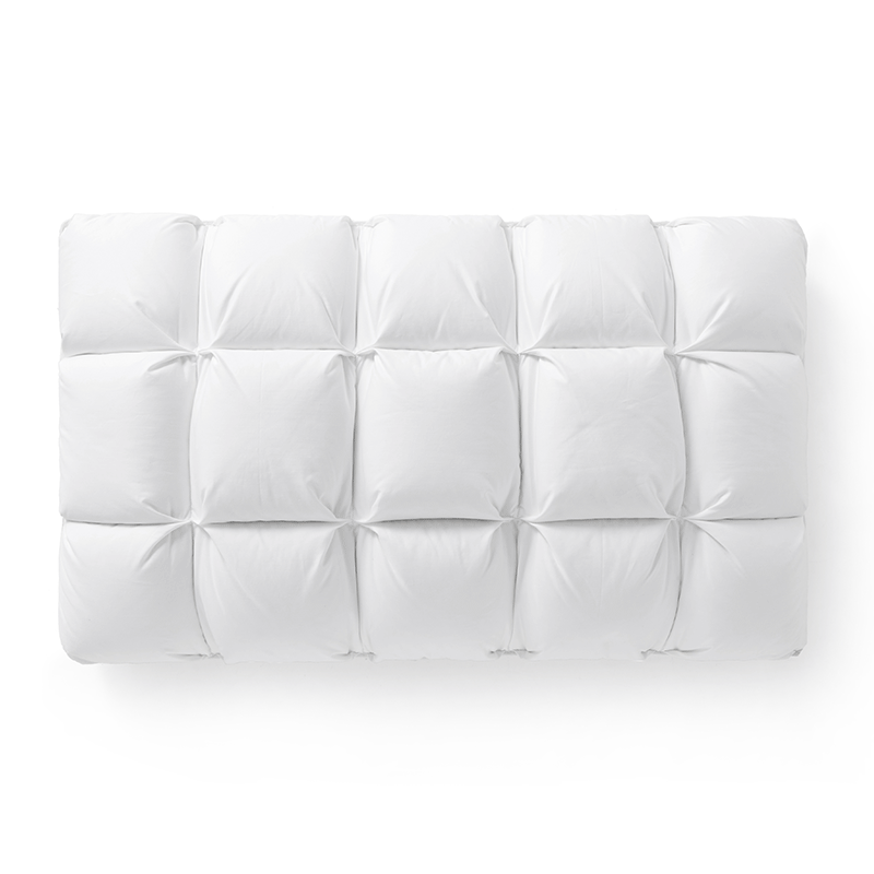 �޿�ܽ������213218029