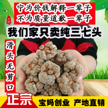 包邮 云南文山纯三七20头30头60头特级春田七500g克可磨三七粉正品