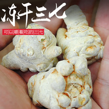 田七 冻干三七云南文山高原冻干三七 500克可磨粉
