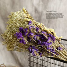 勿忘我干花花束水晶草风干真花干花装 饰文艺小清新客厅餐桌家居