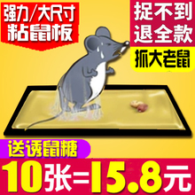 老鼠贴粘鼠板强力正品 家用加大灭鼠神器捕鼠耗子强力型老鼠粘高效
