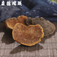 桑臣 桑树?;?桑上寄生 包邮 真菌火木层孔菌 ?;?00克