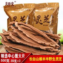 包邮 手选椴木半野生赤灵芝切片1斤 长白山灵芝片中心大片500克