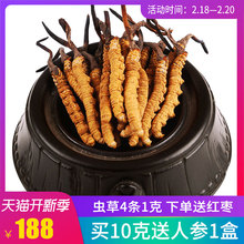 汉草荟冬虫夏草正品野生虫草4条1克 西藏冬虫草无断草