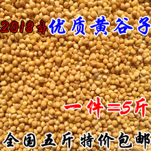 新黄谷子带壳小米虎皮牡丹玄凤中小型鹦鹉文鸟鸟粮鸟食鸟饲料5斤