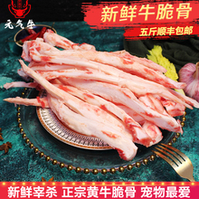 牛脆骨新鲜软骨生鲜牛骨头宠物零食烧烤食材500g/满5斤顺丰包邮