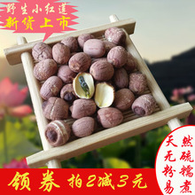 包邮 新货湘潭莲子干货土特产带芯有芯红皮带皮特级野生红莲子500g