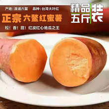 包邮 六鳌红蜜薯地瓜富硒小香薯迷你薯酒店专用宝宝辅食山芋番薯