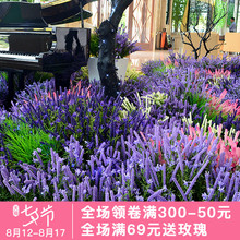 紫藤世纪 薰衣草仿真花束装饰花艺大型商场布置造景摆设花海假花