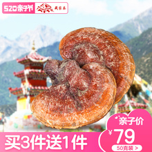 藏家乐西藏特产野生灵芝整枝 可免费打粉切片 西藏发货 50克装