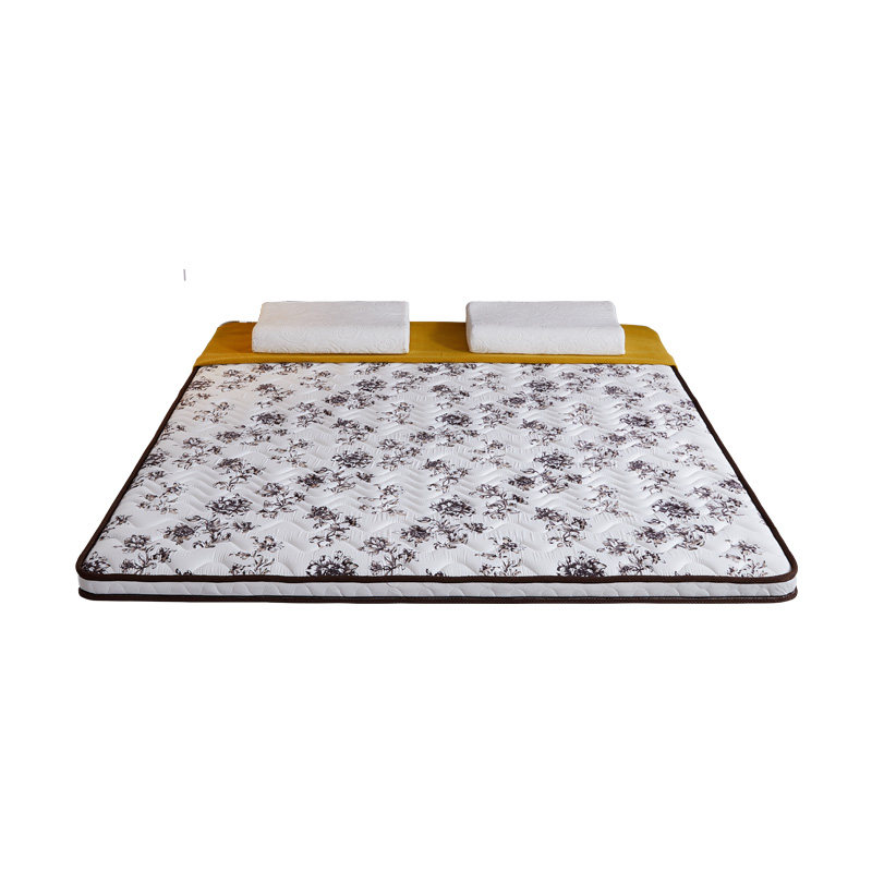 ����3e�ص��齺����