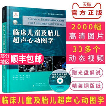 临床儿童及胎儿超声心动图学 张桂珍主编 胎儿超声心动图学 耿斌 正版现货 天津科技翻译出版社