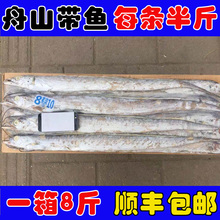 当年野生舟山带鱼新鲜冷冻海鲜特级大号8-10一箱8.5斤全国包邮