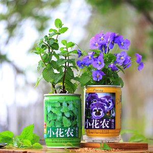小花农罐头易拉罐花卉
