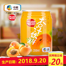 【中粮屯河】杏汁听装250ml*24罐装果汁饮料整箱批发果蔬汁饮品