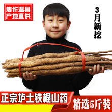 包邮 河南焦作温县垆土铁棍山药新鲜卢土铁杆怀淮山药正宗山约5斤