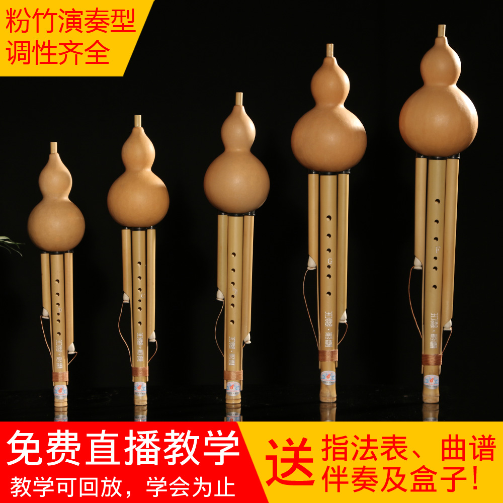 滇南葫芦B降古韵演CD传专业调成奏型FG小生乐器人小学统丝