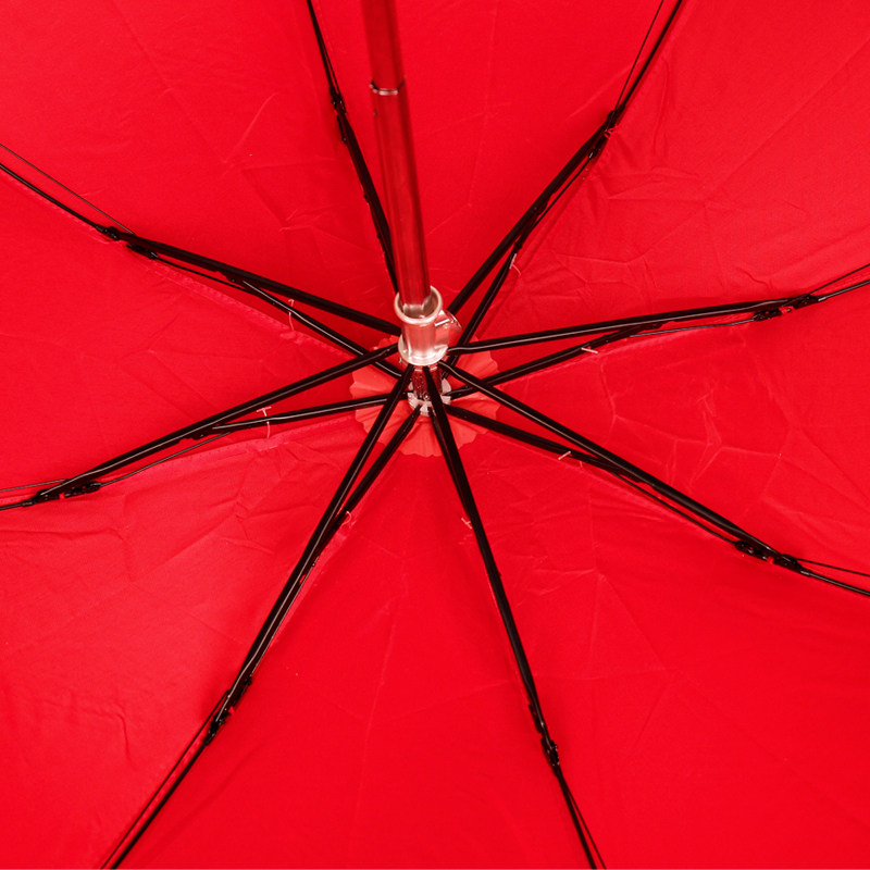 �������ҼҾ�����ɡYS2021