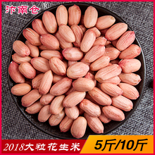 新货5斤装 花生米 农家散装 手剥花生带壳花生种子批發 包邮 10斤