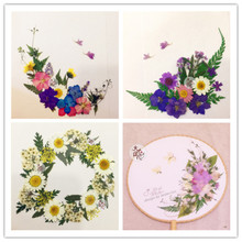 空白绢扇押花材料包压花扇子干花团扇花材包圆形古风旗袍大花DIY