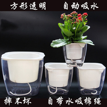 热销现货正方形全透明懒人花盆免浇水花盆创意自动吸水水培篮棉绳