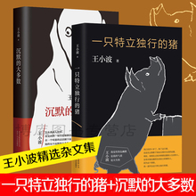 大多数全套2册 王小波杂文精装 纪念版中国现当代文学随笔畅销书籍排行榜 作品集逝世二十周年精装 一只特立独行 沉默 正版