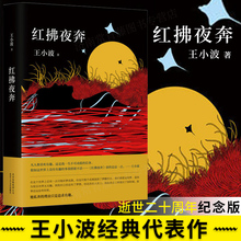 瑞士当代小说译丛 王小波著百日全集时代三部曲 向往 小说 红拂夜奔 对趣味 中国当代小说 百日 追忆思念之情 文学