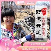 野生云芝250g干品黄云芝新货可打粉精选无虫长白山野生灵芝云芝蘑